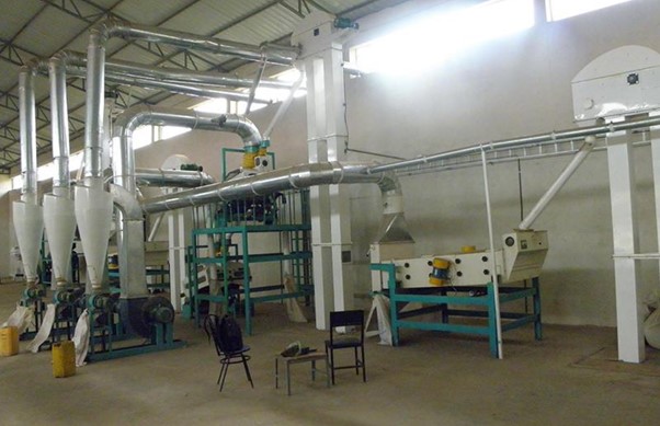 Seed Processing Plants